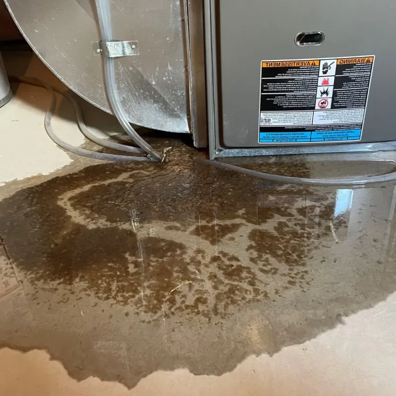 Pipe Burst and Leak Restoration in Lincoln County, WY