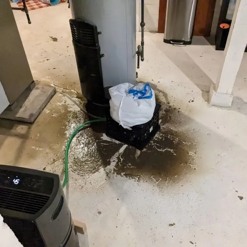 Sewage Backup Cleanup Service in Lincoln County, WY